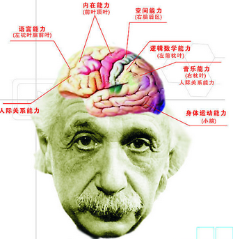 癫痫病有什么危害呢